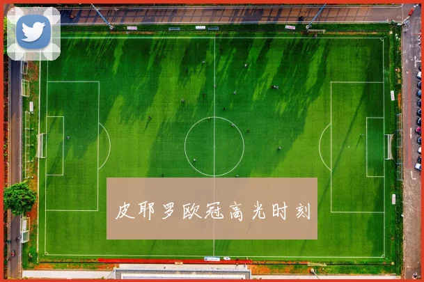 皮耶罗欧冠高光时刻